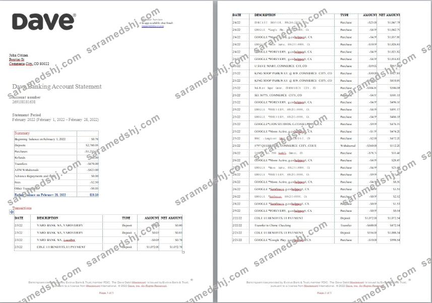 USA Dave bank account statement, Word and PDF template, 5 pages
